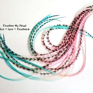 Hair Feathers Kit: Multi Color Very Long Rainbow Ombre Feather Set- Pink and Aqua - DIY Feather Kit Optional