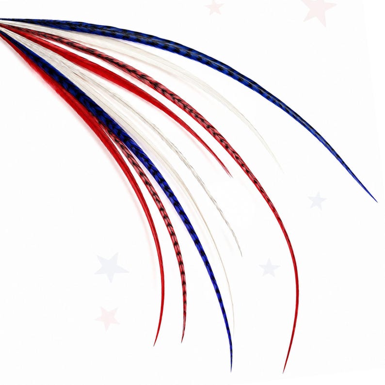 Red White Blue Hair Feathers: 6-Piece Extension Kit