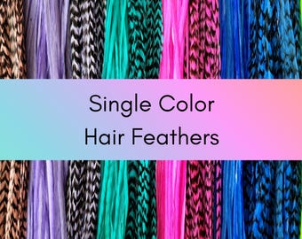 Könnte beinhalten: Eine Auswahl an einfarbigen Haarfedern in verschiedenen Farben, darunter Braun, Lila, Schwarzweiß, Türkis, Türkis, Pink, Blau und Hellblau. Der Text "Single Color Hair Feathers" wird auf einem Farbverlaufshintergrund angezeigt.