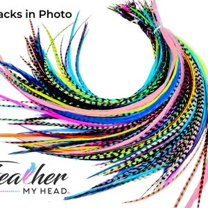 Discounted Hair Feather Extensions - 50 Hair Feathers in a Variety Pack of Colors - Feather Kit Available
