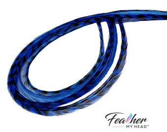 Blue Hair Feather Extensions. 6 Hair Feathers, Long Lengths and Hair Feather Kit Available