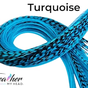 Turquoise Blue Hair Feather Extension Kit - 6 Real Feathers in Lon Lengths Up to 16 Plus Inches Long