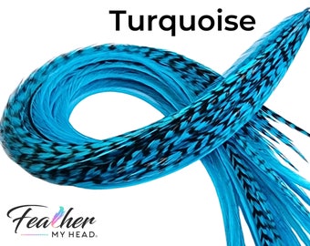 Turquoise Blue Hair Feather Extension Kit - 6 Real Feathers in Lon Lengths Up to 16 Plus Inches Long