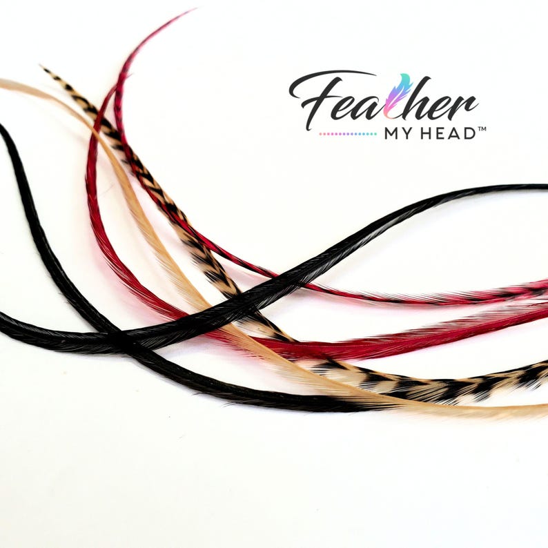 Feather Hair Extension Kit,  6 Real Feathers, Pick Your Length Short to Mega Long 16 In Hair Feathers, Optional DIY Kit, Sedona Mix
