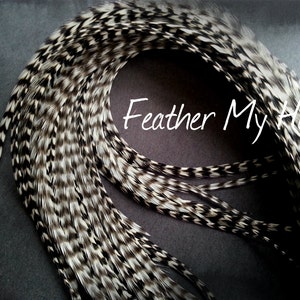 Bulk Feather Extensions 100 Hair Feathers Wholesale Natural Real Rooster  Feathers Grizzly White Dunn Gray Black 8-14inch 