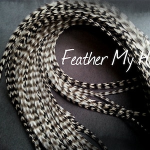 Super Long 11&quot;-14&quot;  Feather Hair Extension, Whiting Eurohackle, Natural Grizzly - 6 Real Feathers