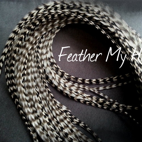 Mixed Natural Feather Extensions Real Hair Feathers Feather Etsy