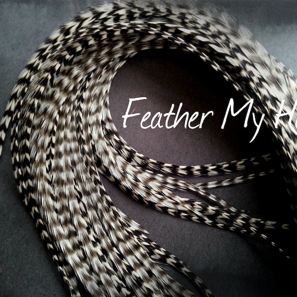 Grizzly Feathers Wholesale Etsy