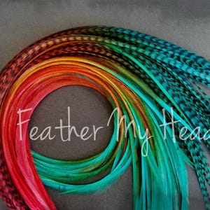 Feder Haarverlängerungen - Multi Farbe Lang 23-30cm - 5 Stück - Rotbraun Teal - Durango