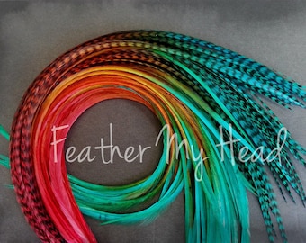 Rainbow Hair Feathers