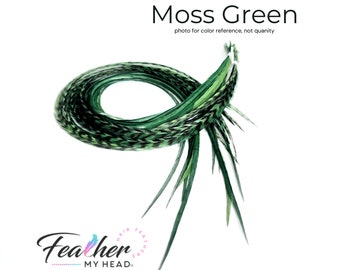 Kit de extensiones de plumas, 6 plumas reales, kit de bricolaje opcional, longitud de púa de corta a larga, (6) verde musgo