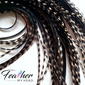 Black Variant Hair Feather Extensions, Pick Your Length Up to 16 Plus Inches Long, 6 Premium Hair Feathers With Optional Feather Kit