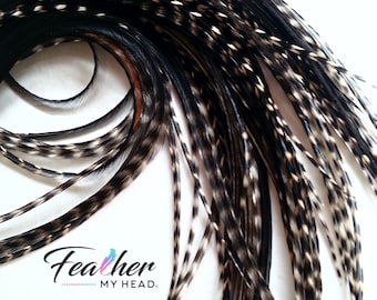 Black Variant Hair Feather Extensions, Pick Your Length Up to 16 Plus Inches Long, 6 Premium Hair Feathers With Optional Feather Kit