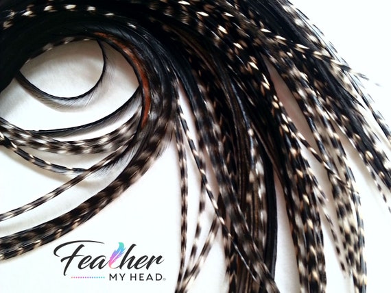 Black Variant Hair Feather Extensions, Pick Your Length up to 16