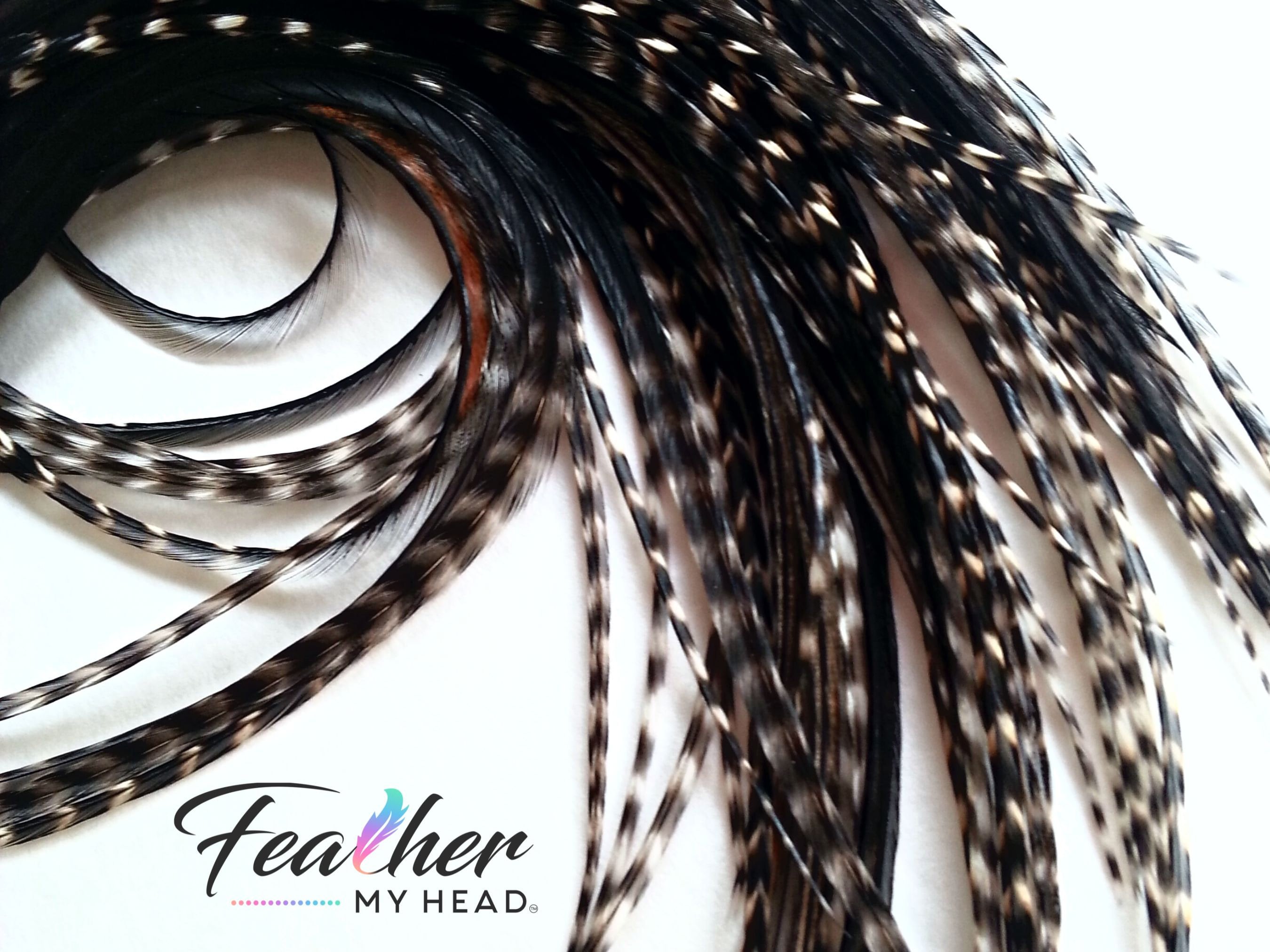 Cream Variant Hair Feather Extensions, Pick Your Length up to 16 Plus  Inches Long, 6 Premium Hair Feathers With Optional Feather Kit 