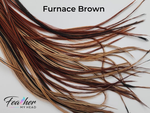 Brown Hair Feather Extensions, Pick Your Length up to 16 Plus