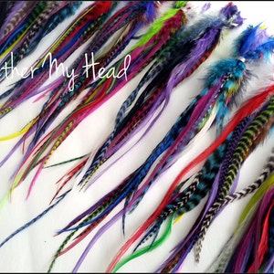 50 Pc Whiting Wide Feather Extensions With Fluff / Bright Grizzly Colors / 7 12 Inches Long image 2