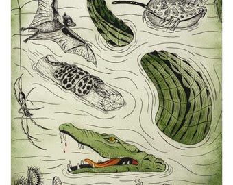 Swamp Wildlife Art Print | Alligator Illustration