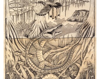 Alligator Swamp Art Print | Carolina Wildlife Illustration