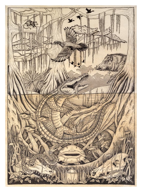 Alligator Swamp Art Print | Carolina Wildlife Illustration