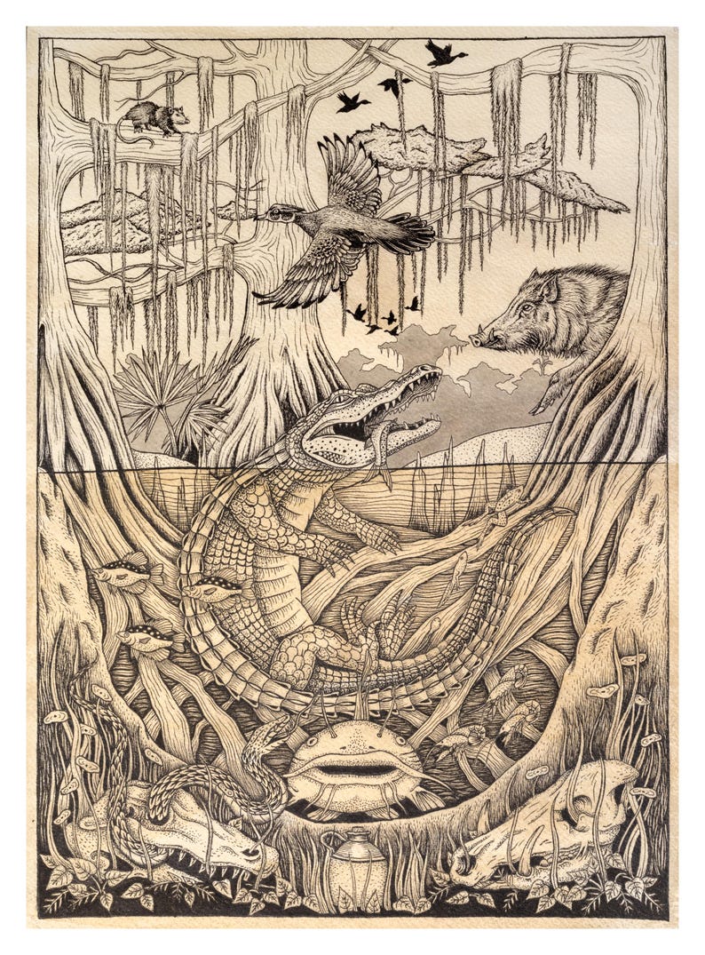 May include: A detailed black and white ink illustration of a swamp ecosystem. The scene features a central alligator with a fish in its mouth, surrounded by a wild boar, a possum, birds in flight, a catfish, two animal skulls, and cypress trees.
