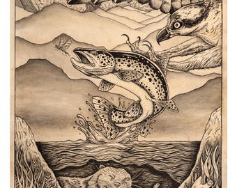 Trout and Osprey Art Print | Appalachian Wildlife Illustration