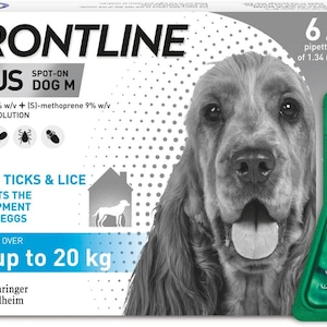 Puede incluir: Frontline Plus Spot-On Dog M. El producto mata pulgas, garrapatas y piojos, y previene los huevos de pulgas. La caja contiene 6 pipetas de 1,34 ml. Para perros de más de 10 a 20 kg.