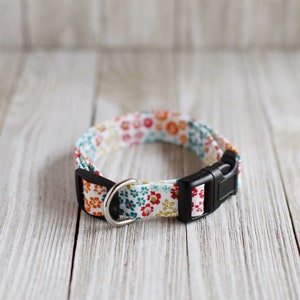 May include: A white dog collar with a floral pattern in shades of orange, red, teal, and yellow. The collar has a black plastic buckle and a silver D-ring.