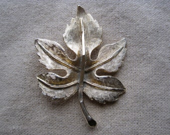 anchor big leaf maple anchor big leaf maple