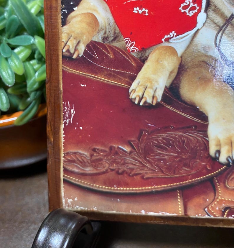 Vintage Shar-pei Cowboy Dog Wood Plaque Art – Western Kitsch Home Decor ...