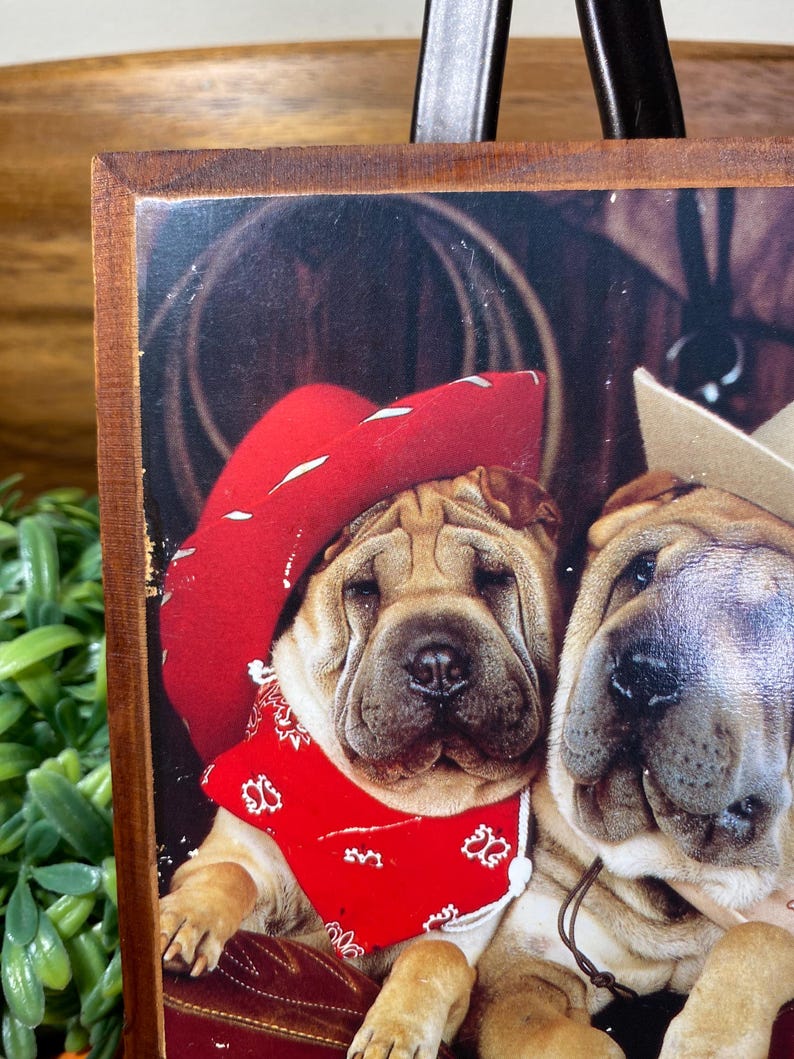 Vintage Shar-pei Cowboy Dog Wood Plaque Art – Western Kitsch Home Decor ...
