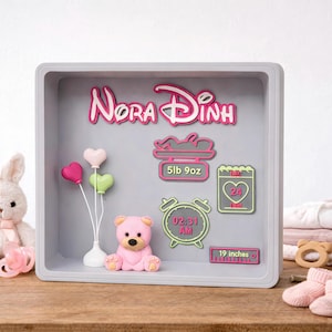 May include: A shadow box with the name "Nora Dinh" in pink and white. Inside are decorative elements including a teddy bear, balloons, and birth details: 5lb 9oz, 19 inches, and the time 02:31 AM. A plush bunny and baby accessories are also present.