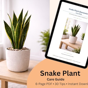 Könnte beinhalten: Eine Sansevieria in einem weißen Topf mit grünen und gelben Blättern. Das Bild zeigt auch ein Tablet, das einen Pflegeleitfaden für Sansevieria anzeigt. Der Text auf dem Tablet lautet "Pflegeanleitung für Sansevieria".