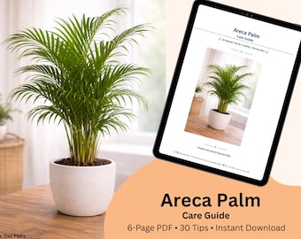 Guía de cuidados de la palma areca / Ayuda imprimible para palmeras de interior / Consejos para plantas de interior
