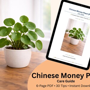 Chinese Money Plant Care Guide PDF | Pilea Peperomioides Printable | Indoor Plant Tips for Beginners
