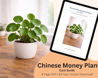 Guía de cuidados de la planta del dinero china (PDF) / Pilea peperomioides (imprimible) / Consejos para principiantes sobre plantas de interior