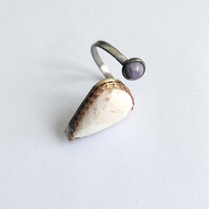 Könnte beinhalten: Ein einzigartiger Ring mit einer Basis aus natürlicher Muschel, einem silbernen Band und einem kleinen, runden, lila Edelstein. Die Muschel hat eine cremefarbene und braune Farbgebung. Der Ring ist vor einem weißen Hintergrund platziert.