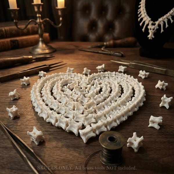 Genuine Snake Vertebrae Bones - Ethically Sourced Bone Beads for Jewelry Making - Gothic Taxidermy Supplies & Dark Academia Oddities