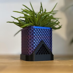May include: A small, square planter with a geometric diamond pattern in shades of blue and purple, topped with green plant life. The planter has a black base and a triangular design on the front.