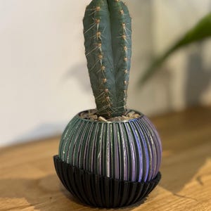 Iridescent 3D Printed Succulent Planter | Bicolour Mini Cactus Pot with Tray