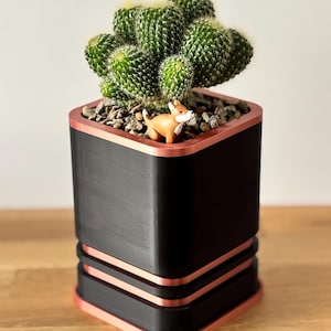 May include: A green cactus in a black square planter with copper-coloured trim. A small, orange fox figurine sits at the base of the plant. The planter is on a wooden surface.