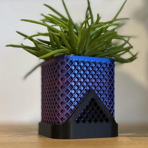 Puede incluir: Una maceta cuadrada, impresa en 3D, con un diseño de celosía, que transiciona del púrpura al azul. La maceta tiene una base negra y contiene una planta verde y espinosa. La maceta mide aproximadamente 10 cm de alto.