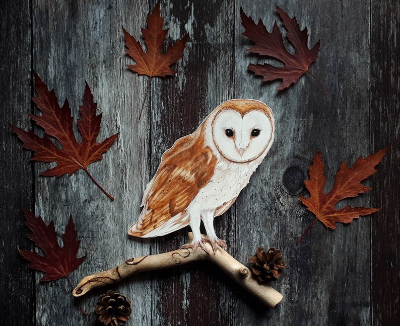 Barn Owl Decor Owl Decal Barn Owl Art Woodland Decal Etsy