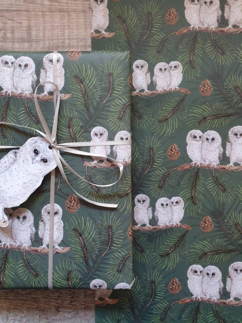 Baby Owls Wrapping paper image 5