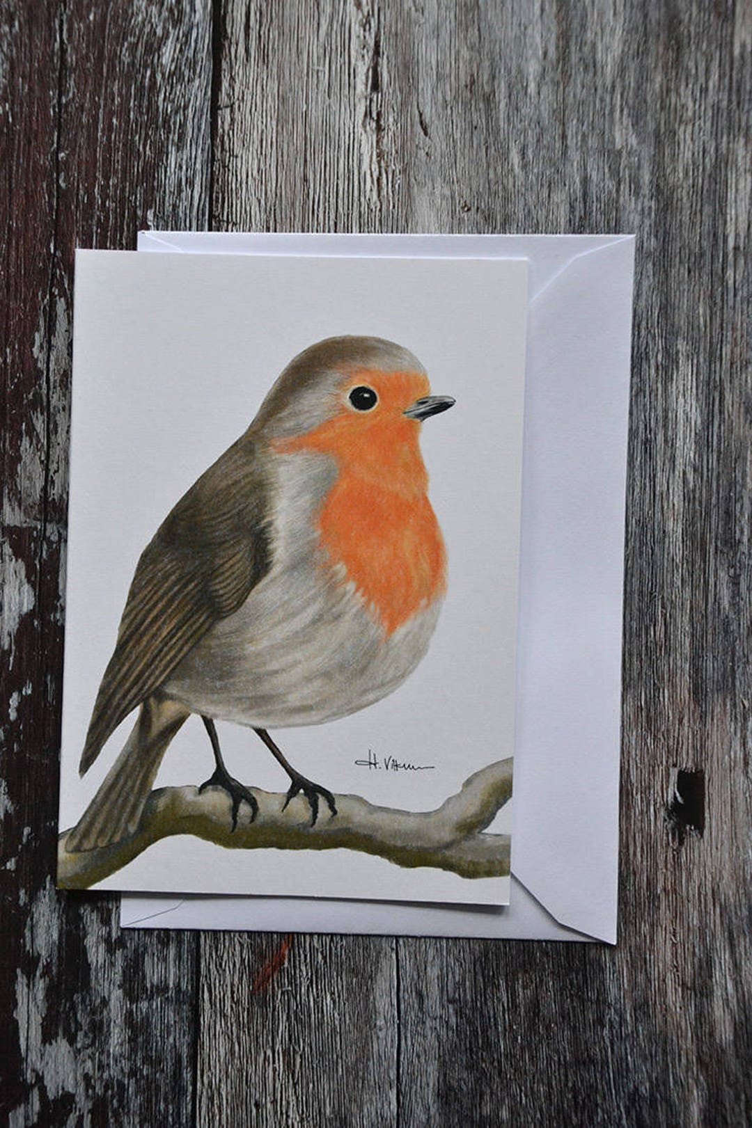 Robin Bird - Greeting Card - Woodland Animal Card - Eco-friendly - Etsy