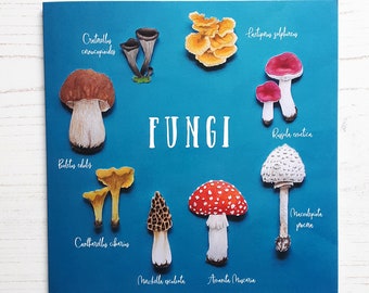 Mushroom Card - Fungi Greeting Card