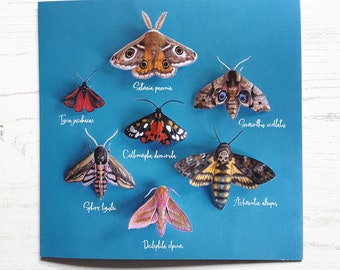 Printed Moths Greeting Card | Eco Friendly Blank Nature Card | Luna Moth Birthday or Gift for Her
