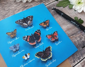 British Butterflies, Butterfly card