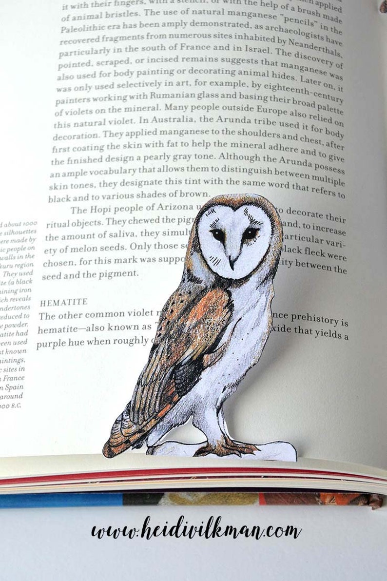 Barn Owl Bookmark image 2