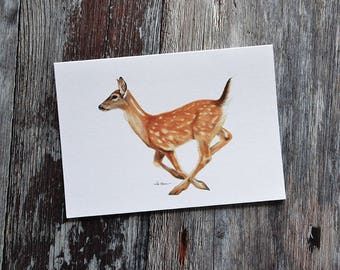 Fallow Deer Greeting Card